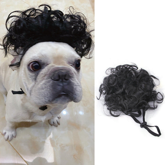 Halloween Pet Wig