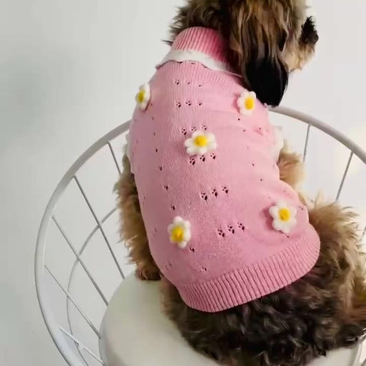 Autumn And Winter Warm And Comfortable Dog Sweater Clothes Pet Cat Clothing Flower Blossom Sweater Collection