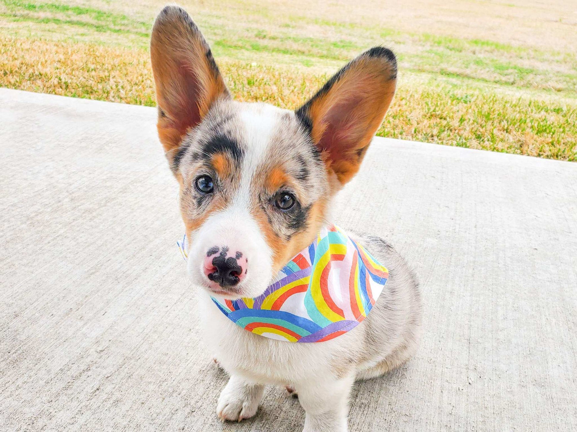 Adjustable "I Love Dad" dog bandana with snap closures and flannel backing for stylish, comfortable fit