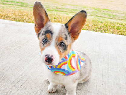 Dog Bandana - Mama's Girl - Stylish, Adjustable & Machine Washable