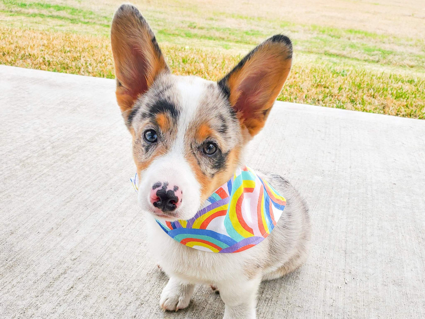 Dog Bandana - Outer Space Design | Stylish & Adjustable Pet Accessory