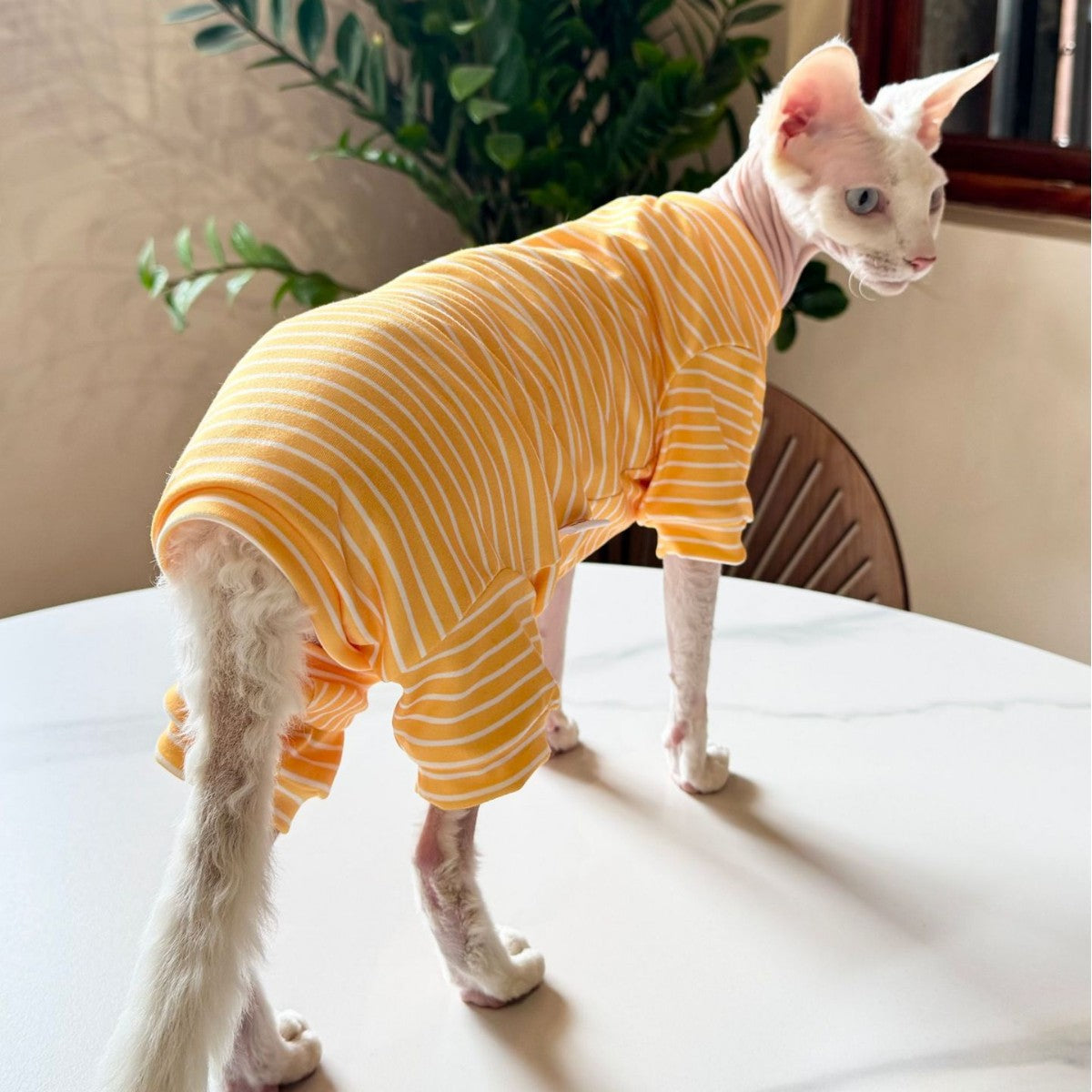 Sphynx Cat Summer Thin Breathable Striped Four Legged Shirt Clothes For Hairless Cats