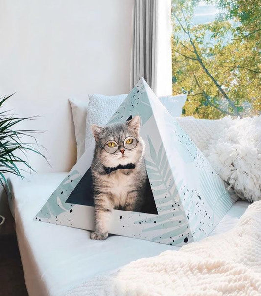 Oasis Cardboard Cat Pyramid with gray tabby cat inside on cozy bed near window
