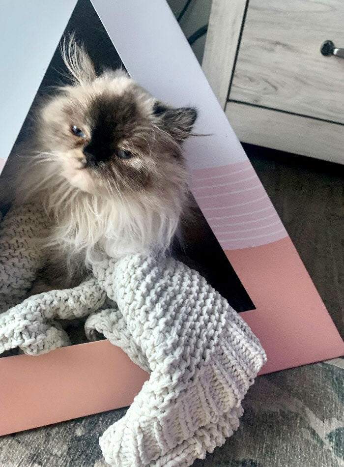 Wavey Cardboard Cat Pyramid with fluffy cat and cozy knitted blanket inside