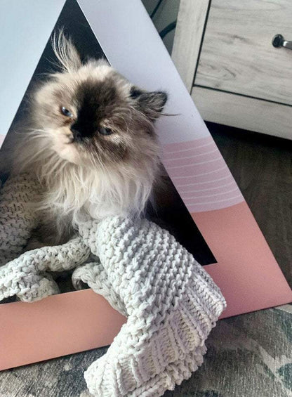 Wavey Cardboard Cat Pyramid with fluffy cat and cozy knitted blanket inside