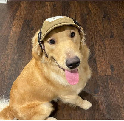 Pet Hat Sports Sunscreen Dog Breathable