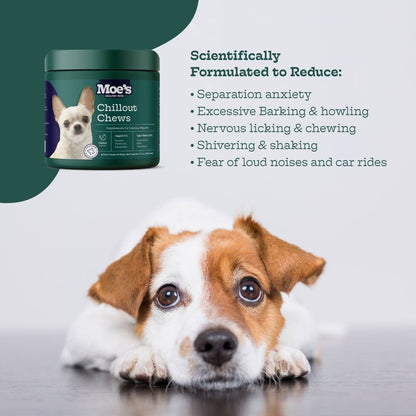 Chillout Chews for Dogs - Natural Stress Relief and Anxiety Support