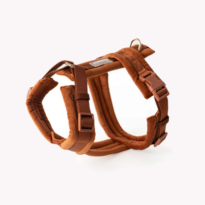 Clay velvet dog harness with gold hardware and adjustable straps