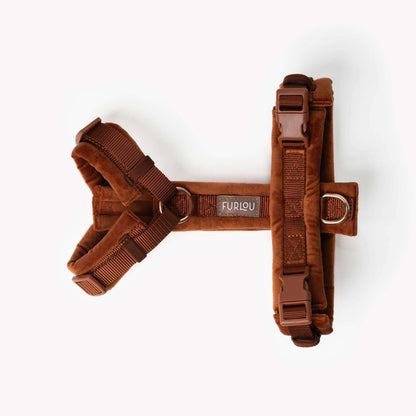 Clay velvet dog harness with gold hardware