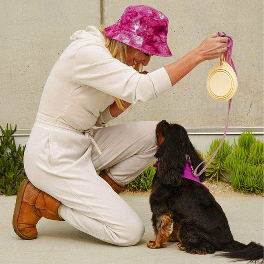 Collapsible double pet bowl with clip for travel and outdoor use