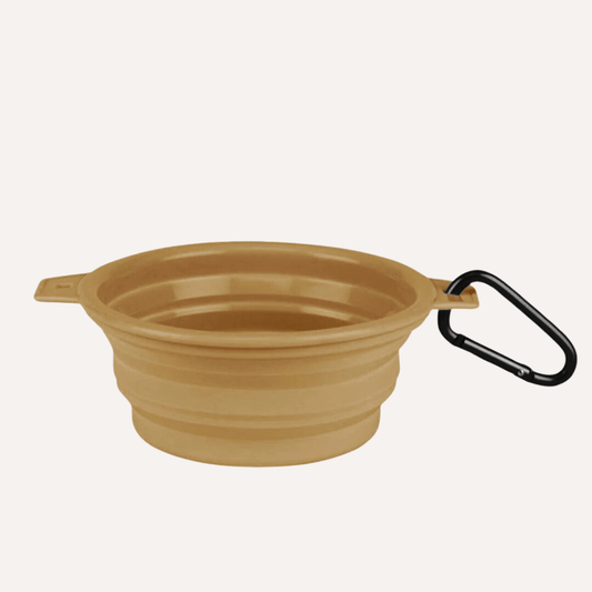 Compact collapsible pet bowl with carabiner clip for travel