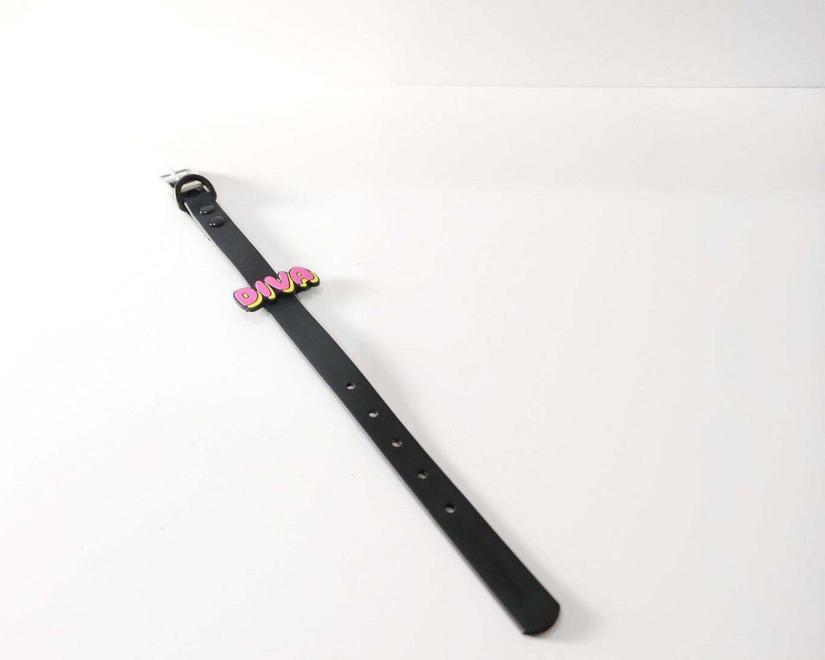 dog collar and leash tabs for customization