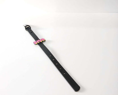 dog collar and leash tabs for customization