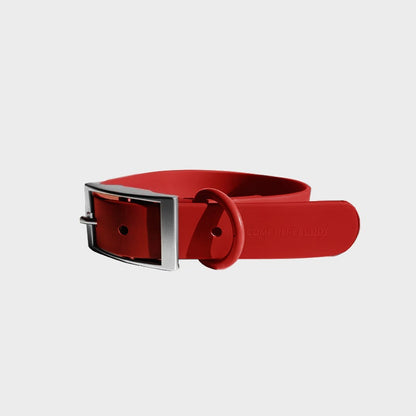 durable red nylon coated polyester Everyday Collar with zinc alloy buckle and steel D-ring