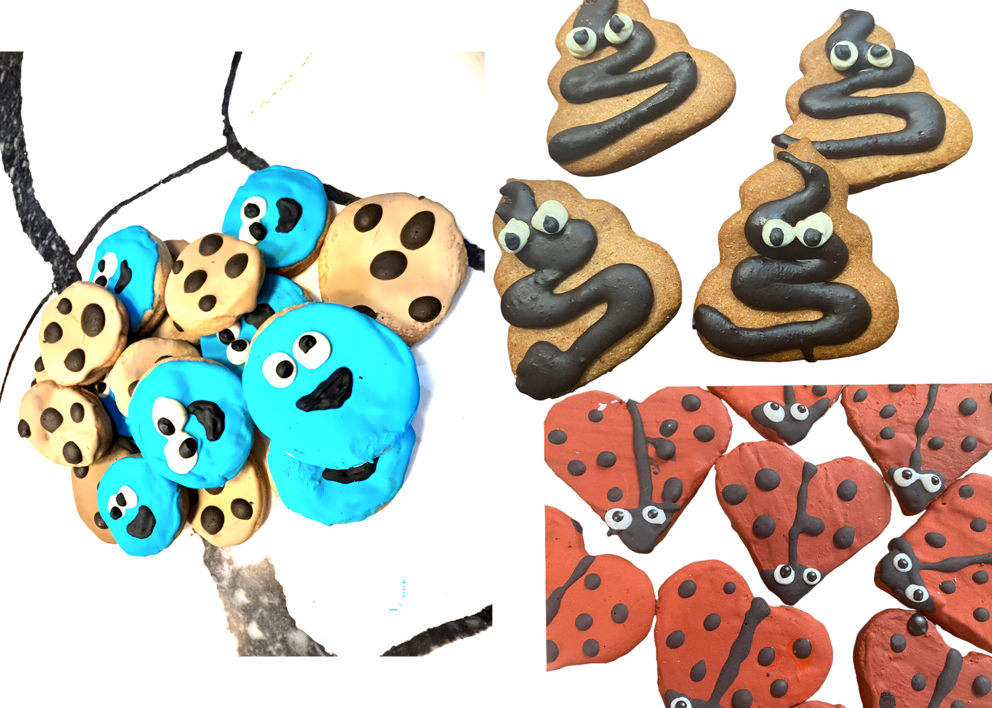 Finn cookies organic dog treat bundle with colorful, fun-shaped peanut butter and pawquarium-themed cookies