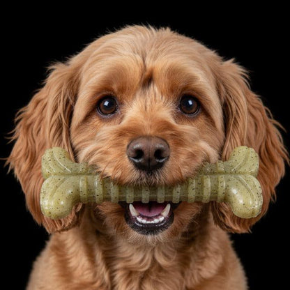 Brown dog holding Tough Bone Nylon Chew Bone toy in mouth against black background