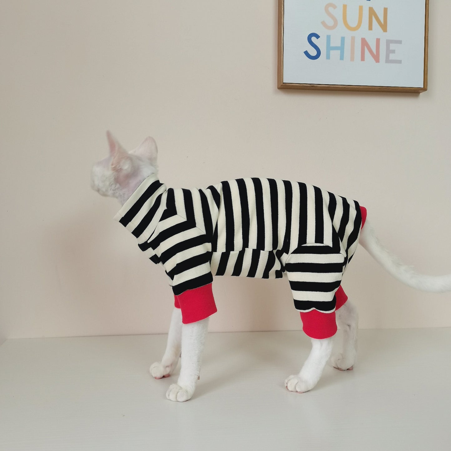 Belly-protecting Four-legged High-elasticity Fur-free Cat Clothing