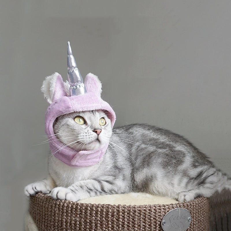 Pet Hatpet Cat Drag Hat Universal Halloween