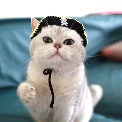 Pirate Hat Leaky Ear Small Handmade Pet Costume