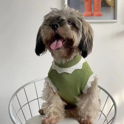 Autumn And Winter Warm And Comfortable Dog Sweater Clothes Pet Cat Clothing Flower Blossom Sweater Collection