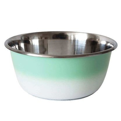 Mint green stainless steel deep dog bowl with rubber base