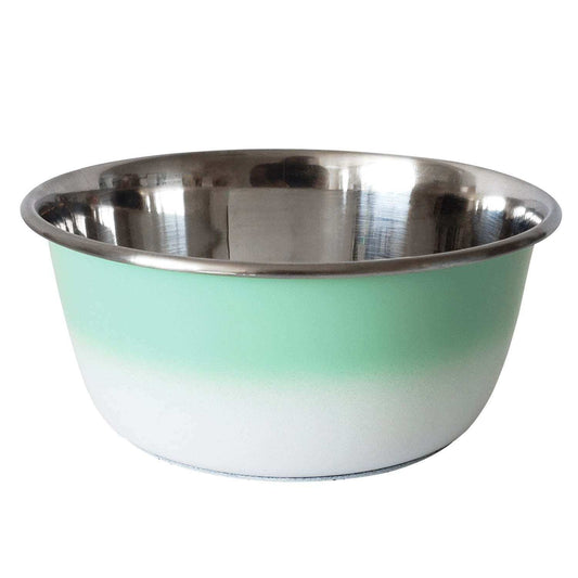 Mint green stainless steel deep dog bowl with rubber base