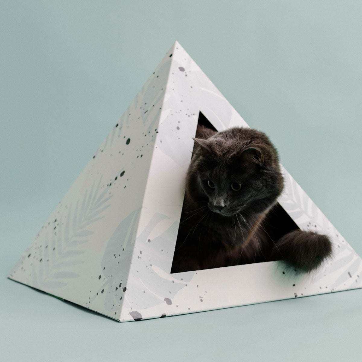 Oasis Cardboard Cat Pyramid with black cat inside on light blue background