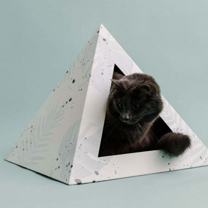 Oasis Cardboard Cat Pyramid with black cat inside on light blue background
