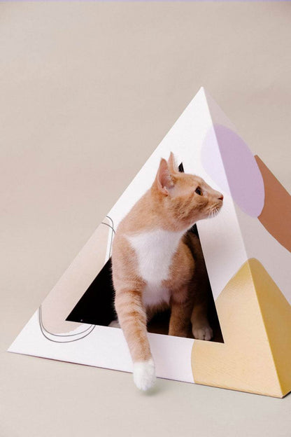 Abstract cardboard cat pyramid with orange and white cat inside, modern design hideaway for cats