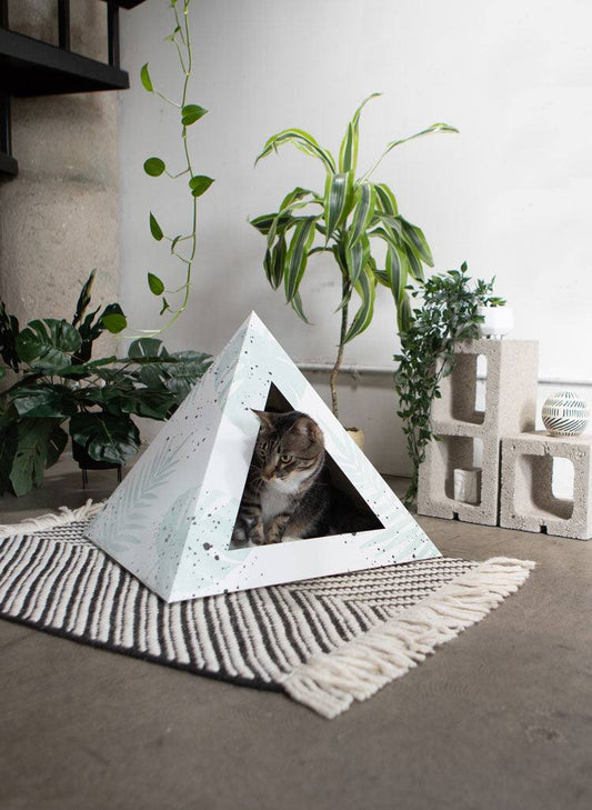 Oasis Cardboard Cat Pyramid with cat inside on rug in modern room setting