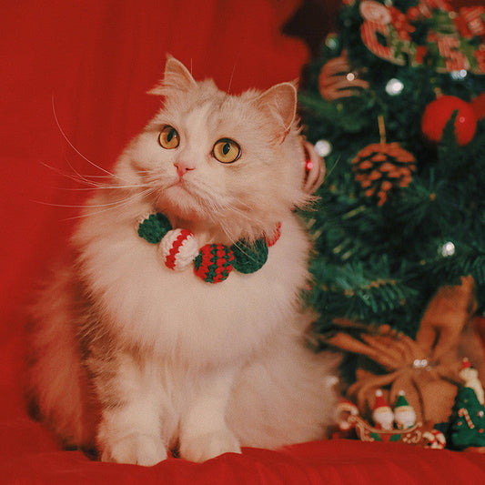 Christmas Pet Bib