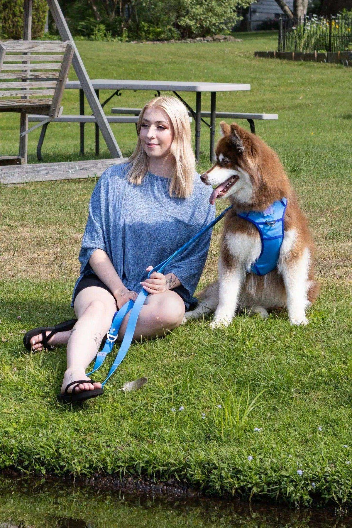 Durable Dockside Adventures Ultimate Harness for dogs with reflective safety features