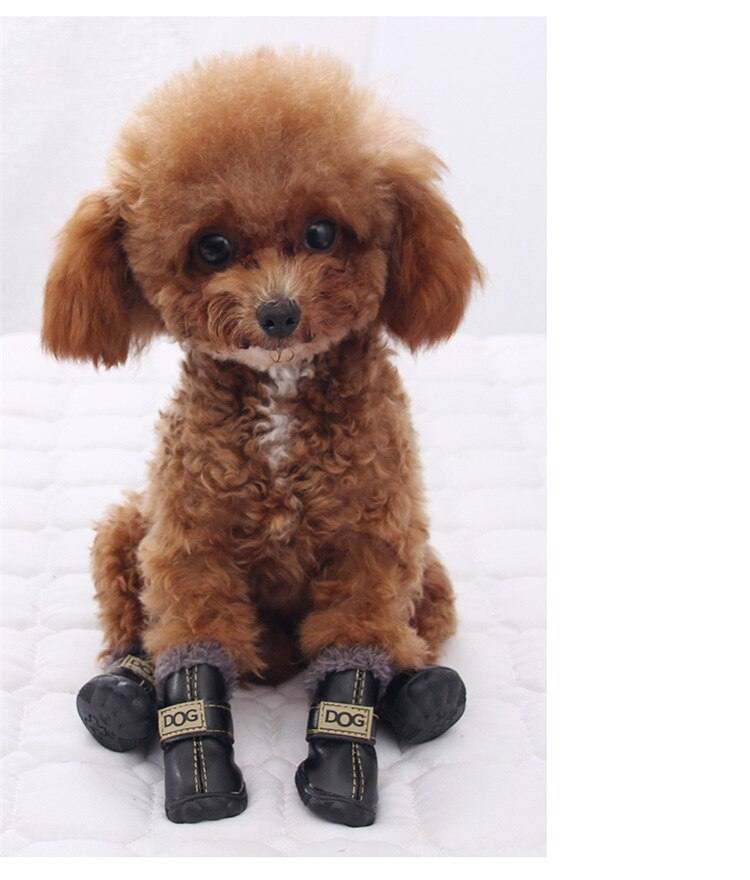 Dog Australia waterproof fleece-lined warm snow boots for dogs