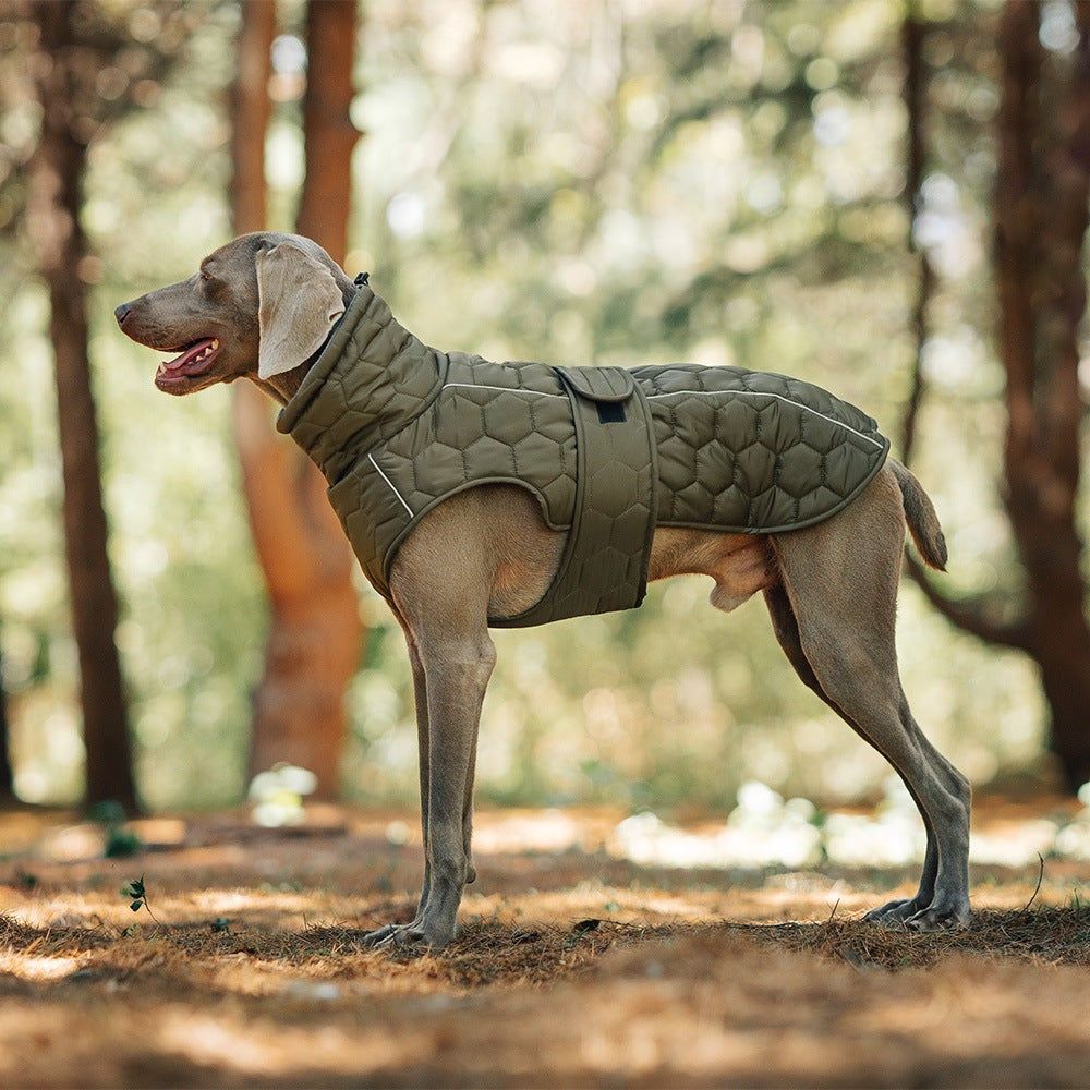 Dog vest in olive green quilted fabric with a padded stand collar and adjustable side straps, dog clothing outdoor style for warmth.