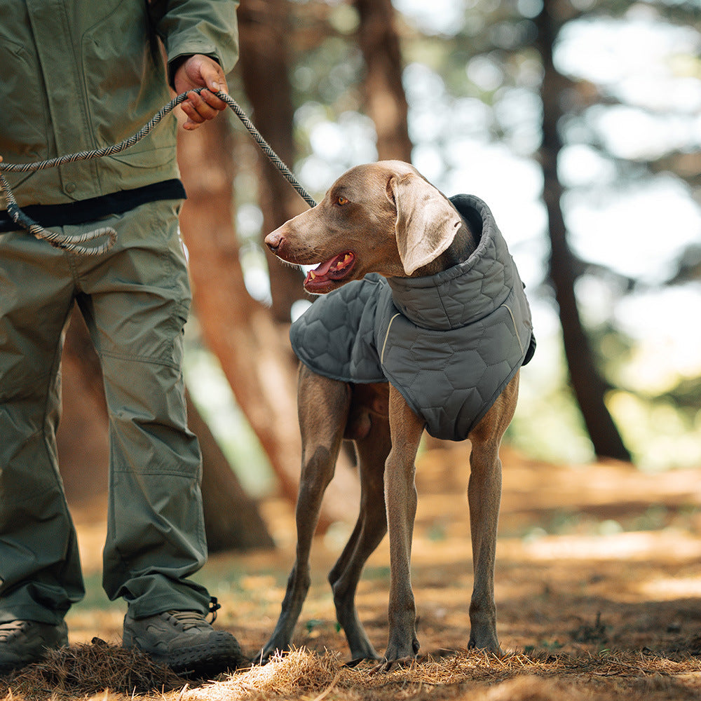 Padded dog vest in dark grey quilted fabric, sleeveless with a high collar; dog clothing outdoor for chilly walks.