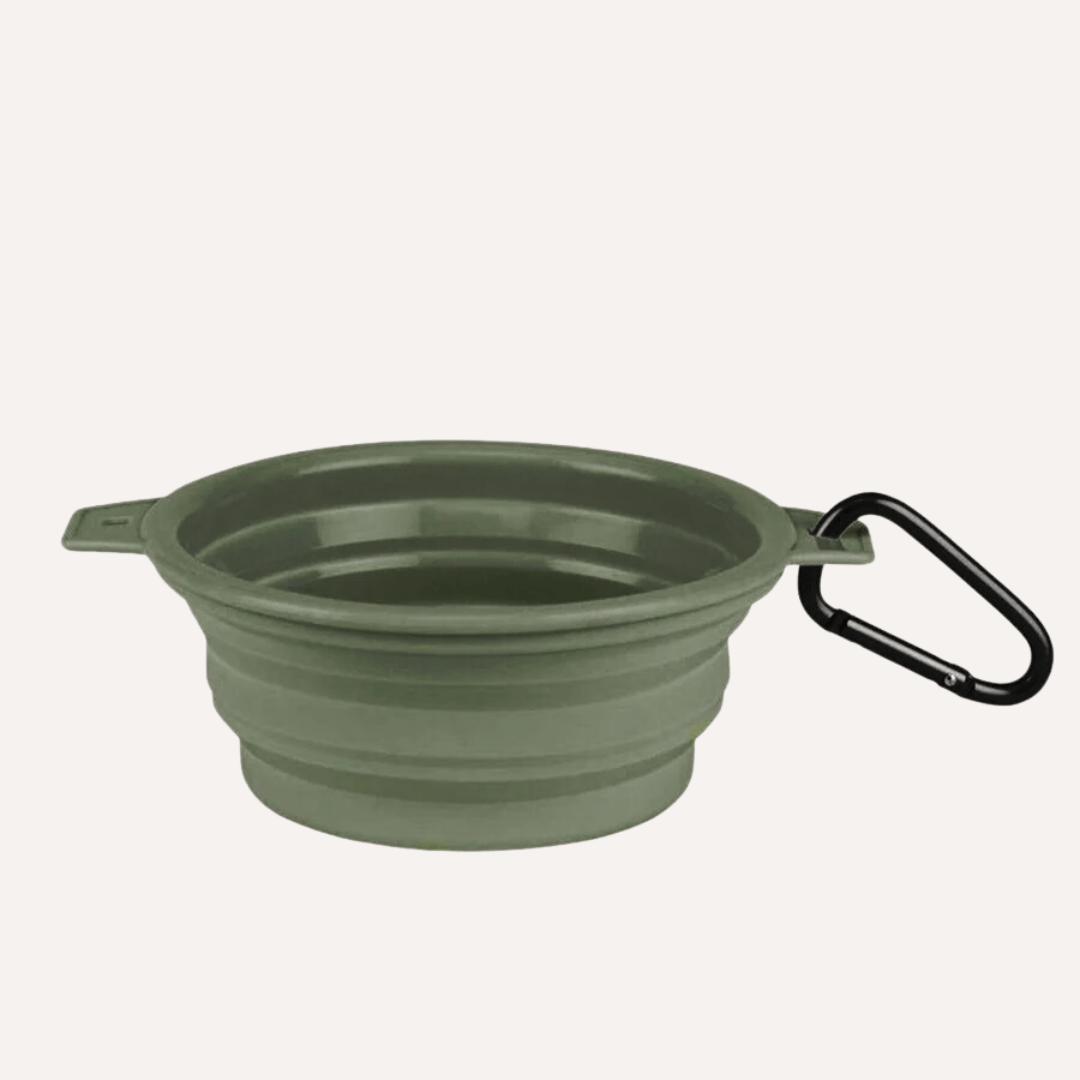 Collapsible pet bowl with clip in green, compact and reusable travel bowl for pets