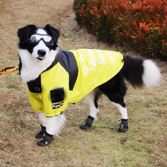 Reflective windproof waterproof dog face pet jacket for small dogs and cats