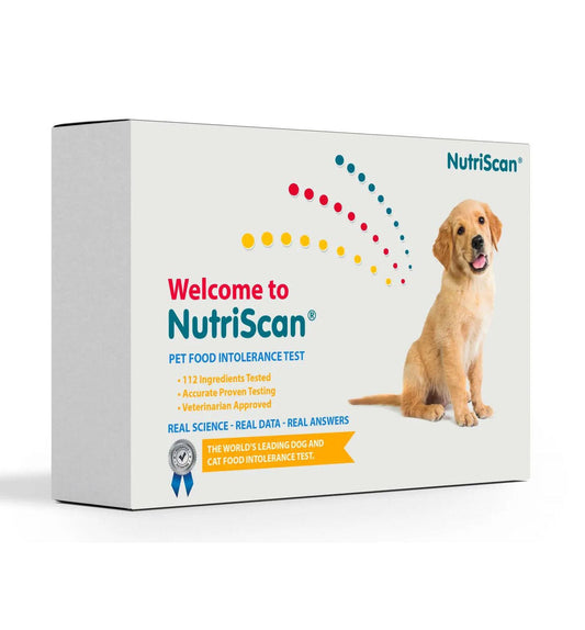 Dog food allergy saliva collection test kit