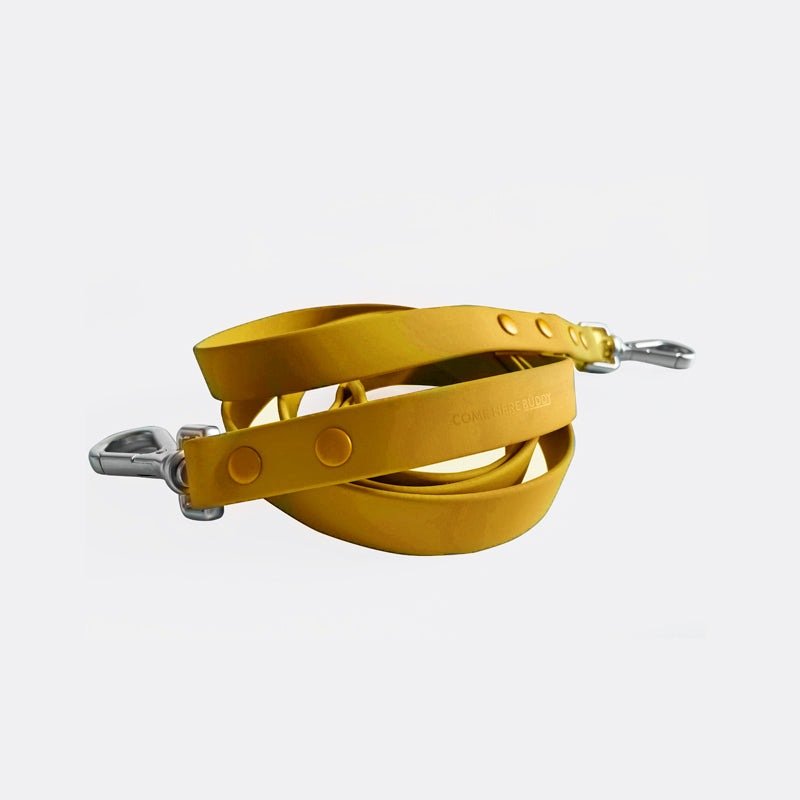 Durable dog leash with nylon strap and zinc alloy buckle