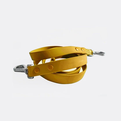 Durable dog leash with nylon strap and zinc alloy buckle