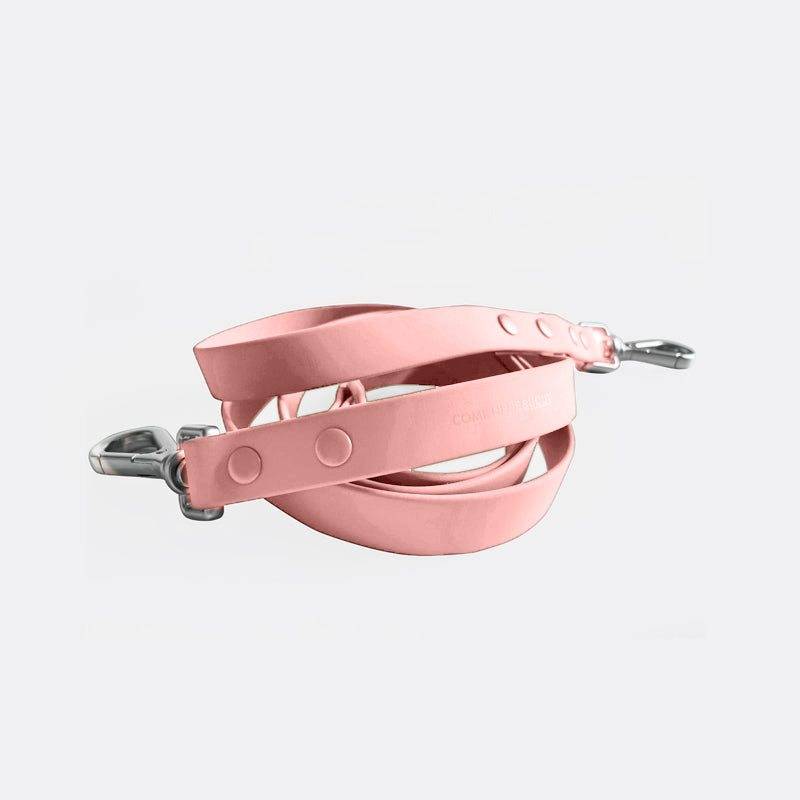 durable easy-to-clean dog leash with nylon strap and metal buckle