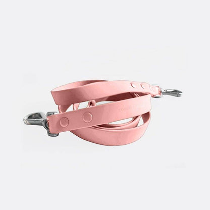 durable easy-to-clean dog leash with nylon strap and metal buckle