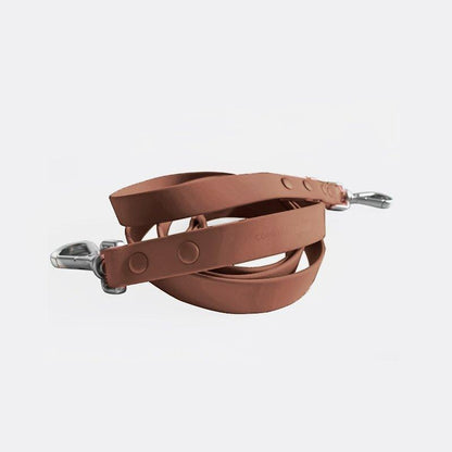 Easy-to-clean durable dog leash with nylon strap and zinc buckle
