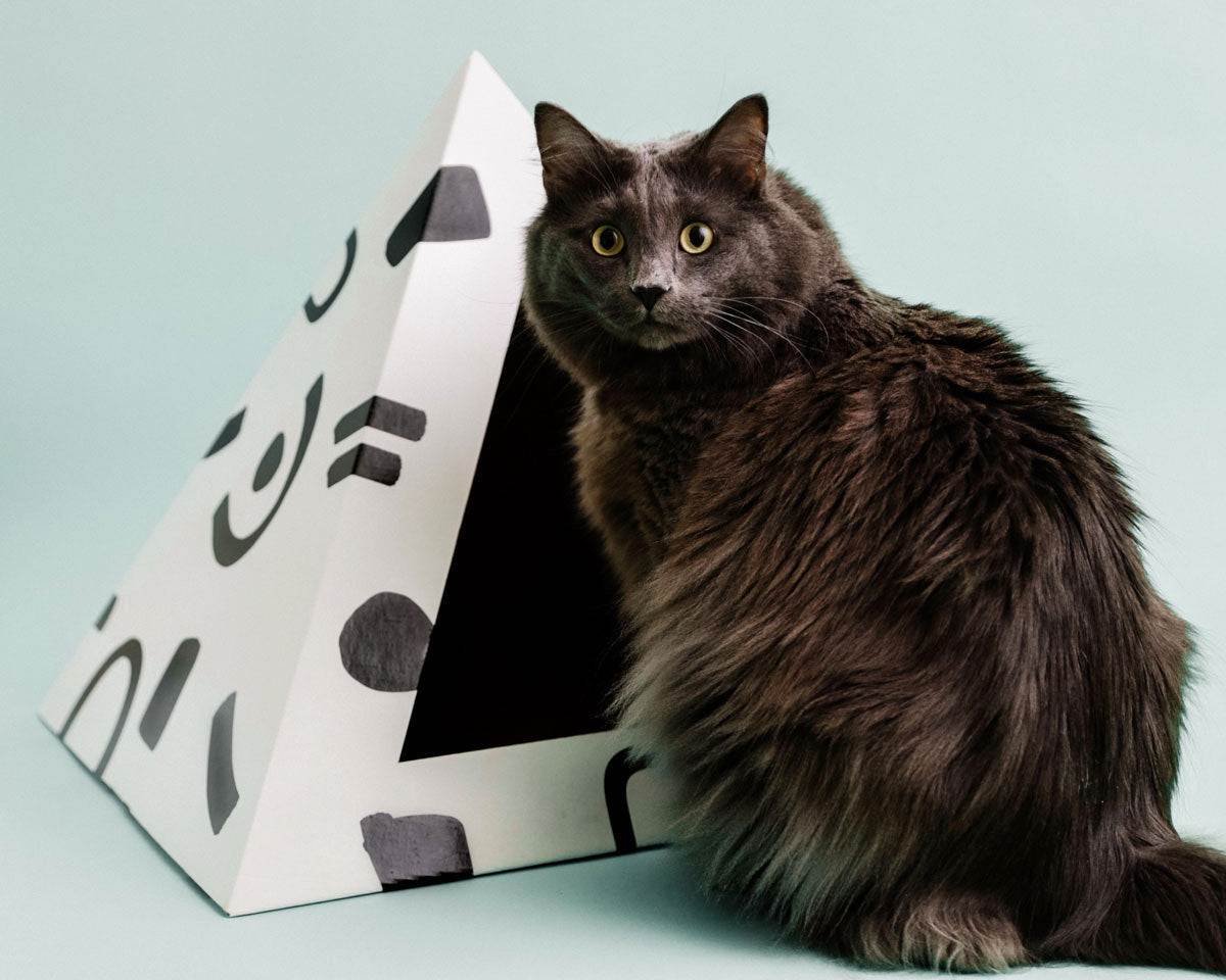 Doodle cardboard cat pyramid with geometric design and hand-drawn patterns
