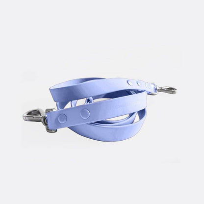 Durable easy-to-clean dog leash with zinc alloy buckle and nylon strap