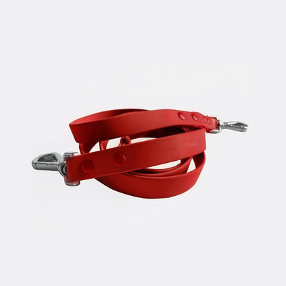 Durable easy-to-clean dog leash with zinc alloy buckle and adjustable length