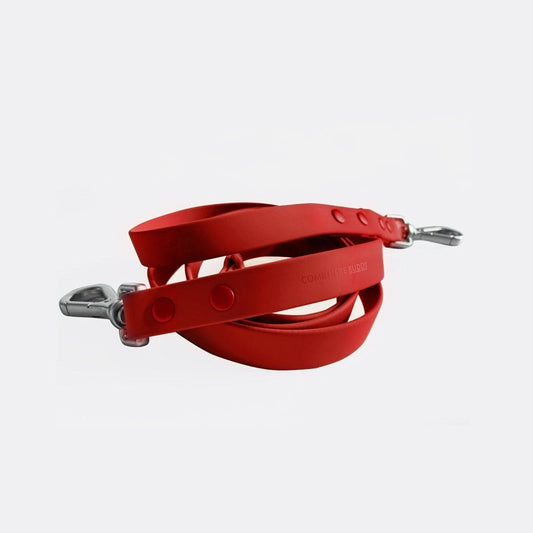 Durable easy-to-clean dog leash with zinc alloy buckle and adjustable length