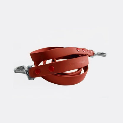 durable easy-to-clean dog leash with zinc alloy buckle and nylon strap