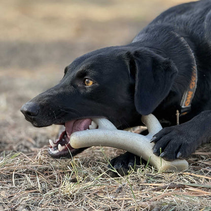 Ever Antler nylon chew bone elk antler shaped dog toy for aggressive chewers
