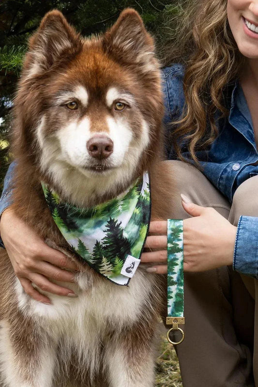 Evergreen Explorer dog bandana with matching wristlet keychain for outdoor adventures